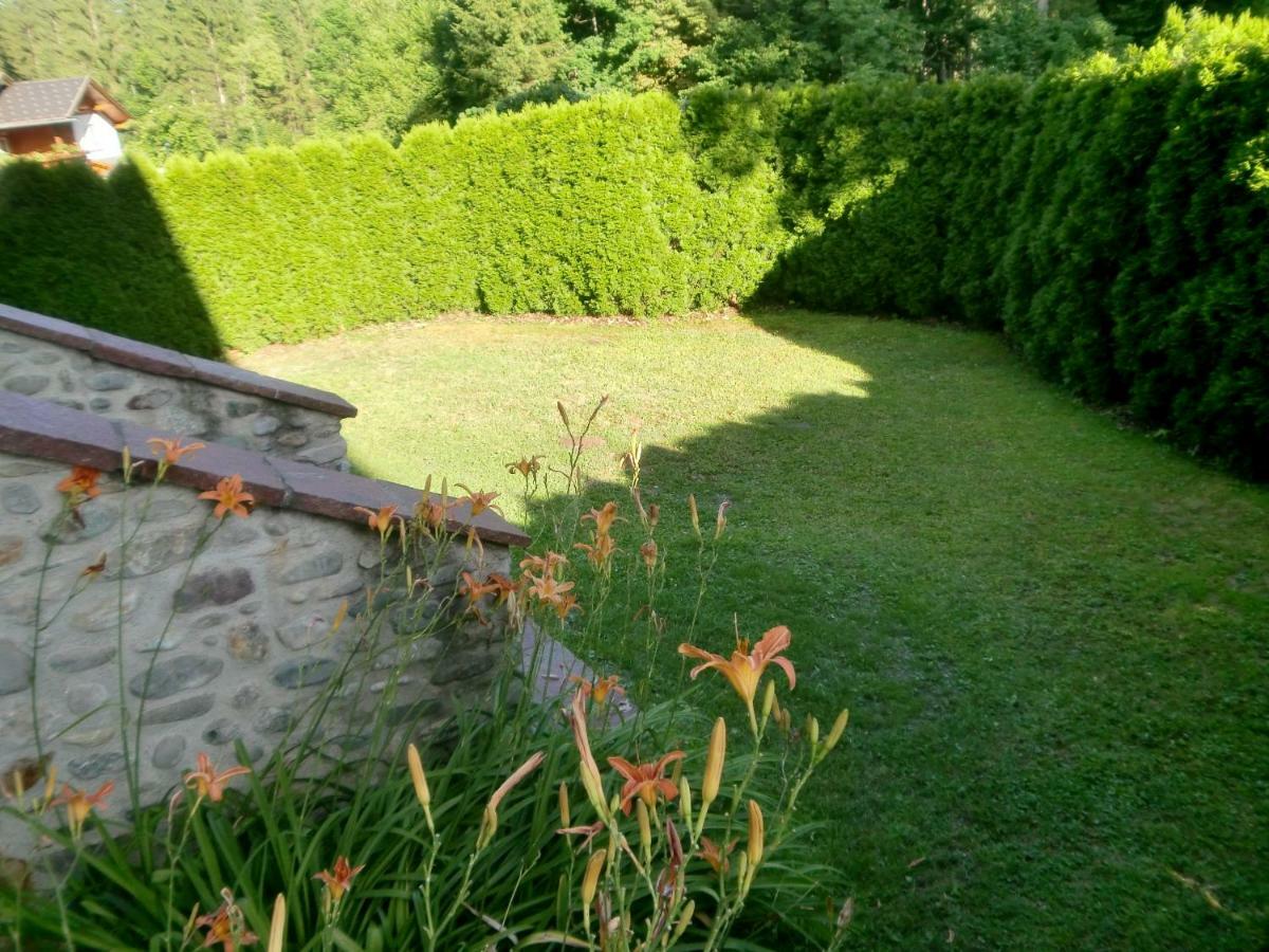 Garten- & Loggia-Appartement Herrenhaus Dellach im Drautal Exterior foto